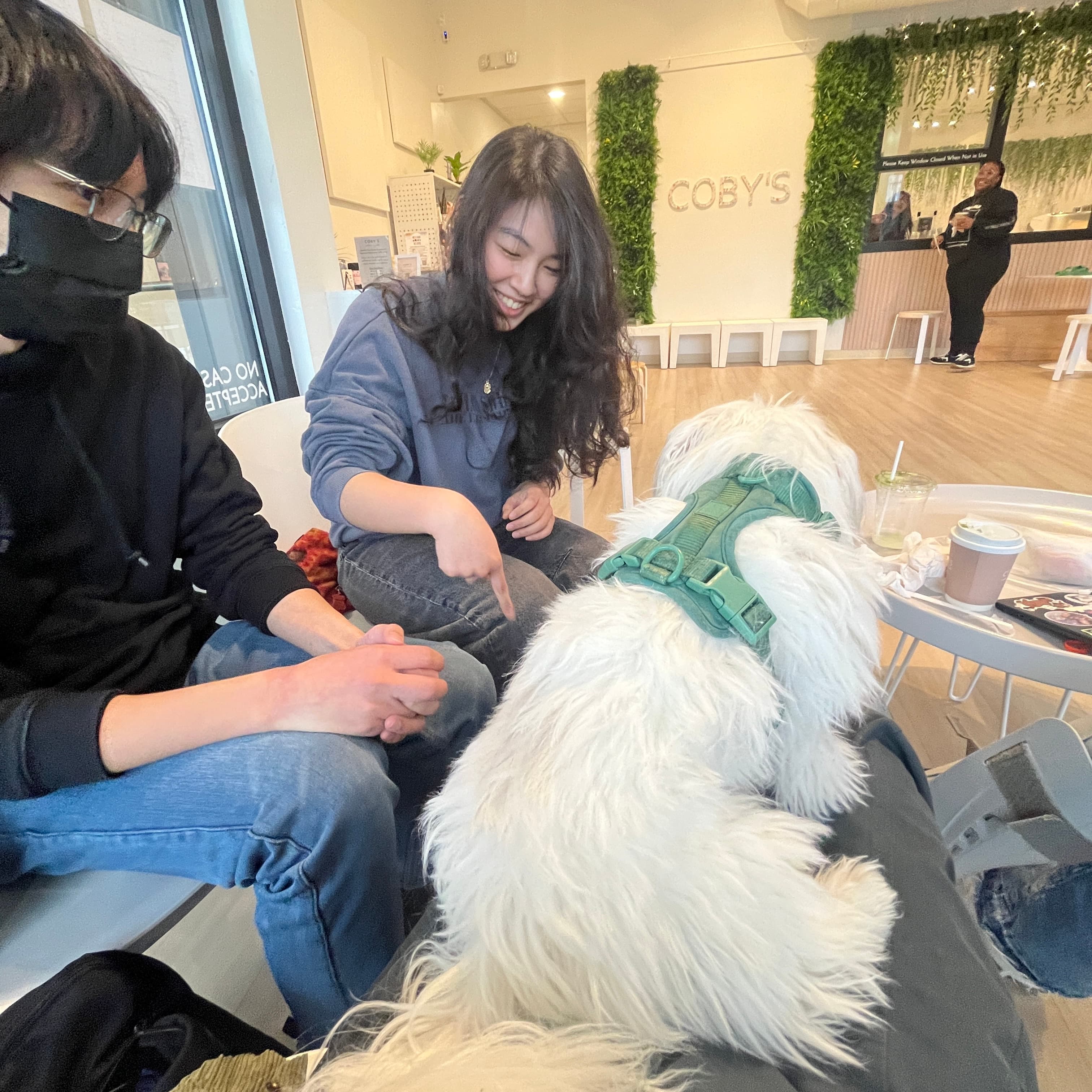 FurReal project exhibition moment